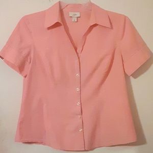 Ann Taylor LOFT   Size large womans shirt